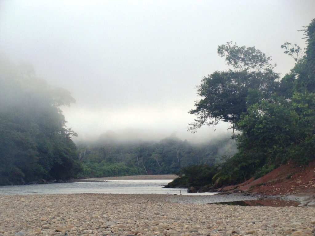 Christian de Massy - Peruvian Amazon